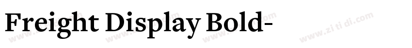 Freight Display Bold字体转换